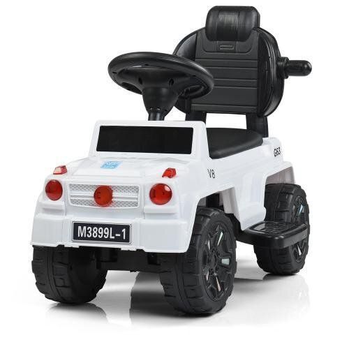 Детская каталка-толокар Bambi M 3899L-1 2в1 с родительской ручкой Белая