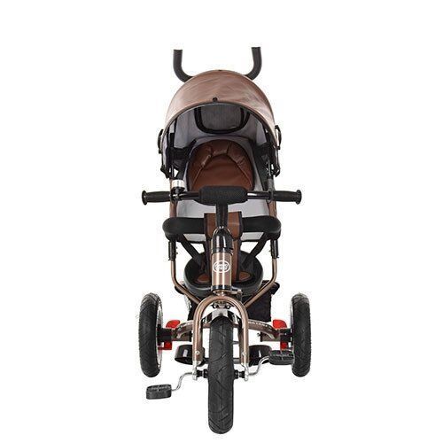 Трехколесный велосипед Turbotrike M 3113AL-13 Коричневый