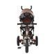 Трехколесный велосипед Turbotrike M 3113AL-13 Коричневый