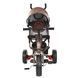 Трехколесный велосипед для детей TurboTrike M 3113L-13 Коричневый
